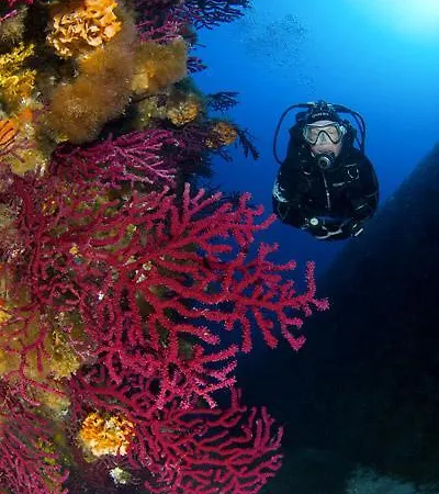 Üdülőpark Acapulco *
