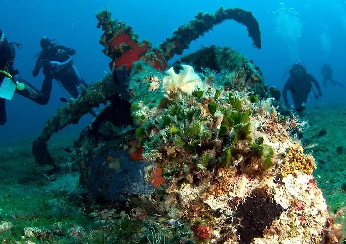 Acapulco Üdülőpark