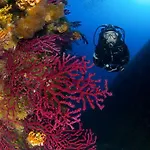 Πάρκο διακοπών Acapulco *