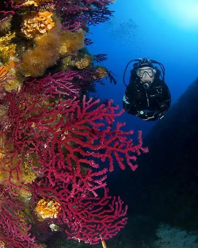 Ferienpark Acapulco *